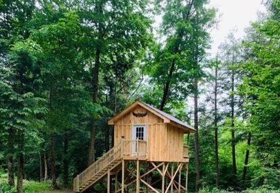 Thelma's Treehouse, raised on wooden posts and reached by stairs